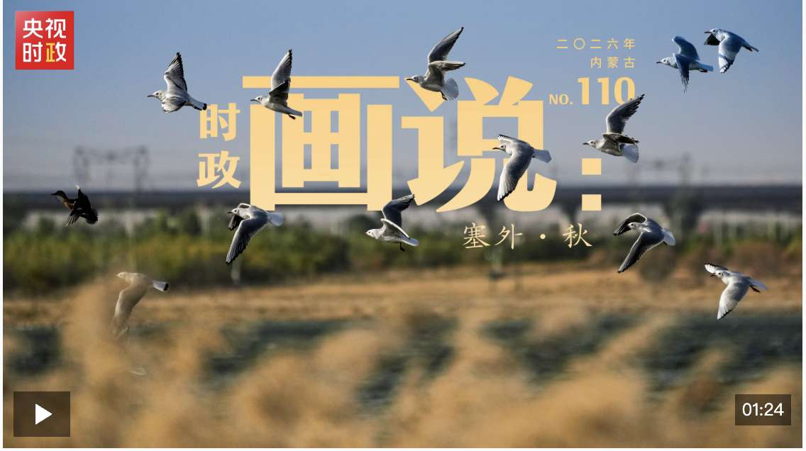 時政畫說丨塞外·秋