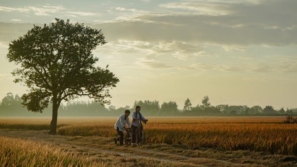 跟着“阿嬤”遊潮汕