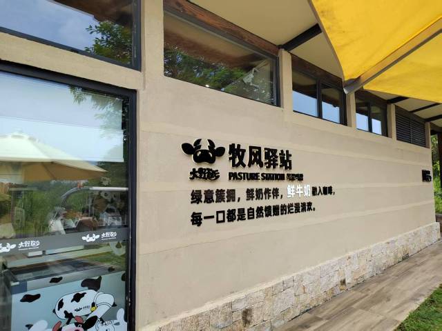 受訪者 供圖