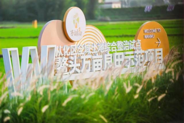 受訪者 供圖