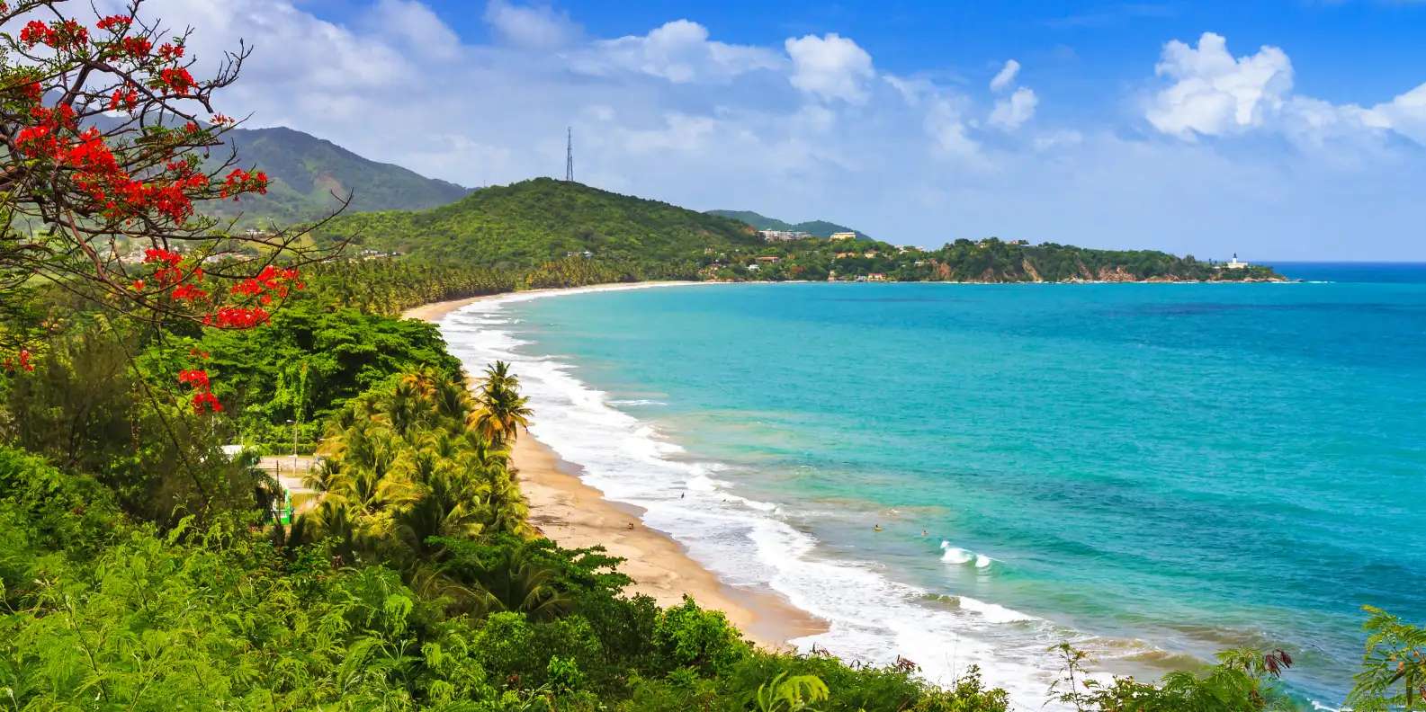 Scenic Caribbean coastline with curved white sand beach bordered by turquoise ocean waters and a lush green hillside with tropical vegetation and red flowers in foreground.