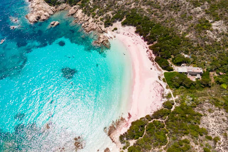 撒丁島(Sardinia)的原始粉色沙灘海灣,清澈的藍綠色地中海水域,岩石露頭,地中海灌木植被覆蓋着海岸山坡,俯瞰景觀。