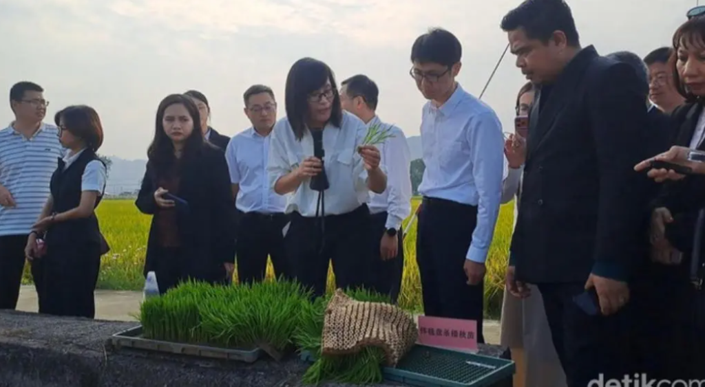 印尼移民安置部代表團訪杭，與中國水稻研究所探討巴布亞移民區農業合作