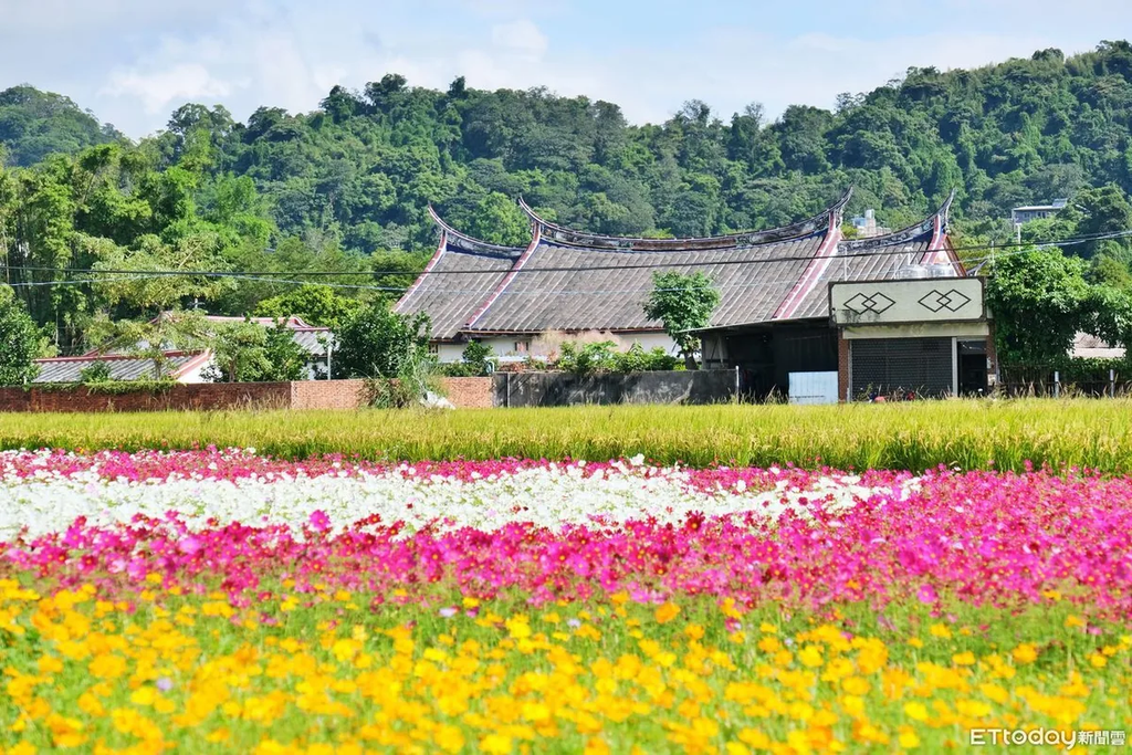 桃園花彩節11月14日登場　李翊君等歌手接力演出